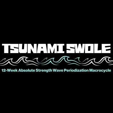 12-Week Absolute Strength Wave Periodization Macrocycle
