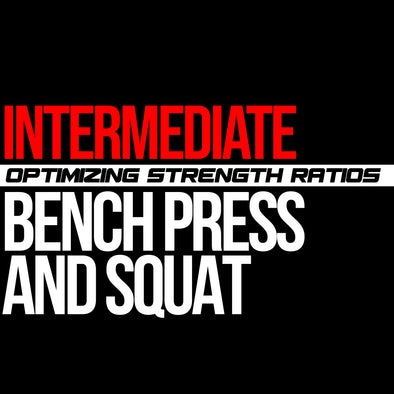 Intermediate: Bench Press & Squat Macrocycle