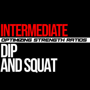Intermediate: Dip & Squat Macrocycle